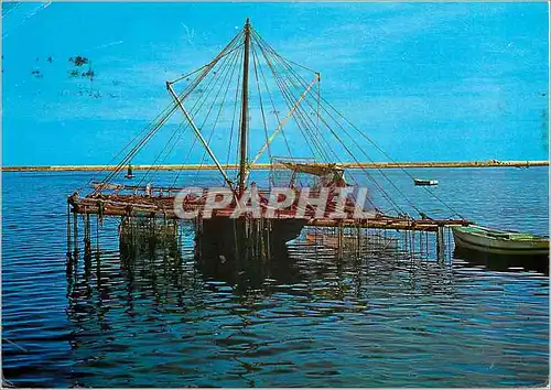 Cartes postales moderne Denia (Alicante) Mussel Beds of Port