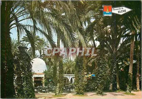 Cartes postales moderne Elche (Alicante) Parc Municipal