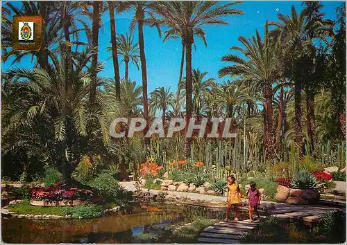 Cartes postales moderne Elche (Alicante) Lac de Rocalla