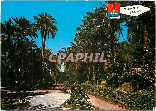 Cartes postales moderne Elche (Alicante) Hort de Baix