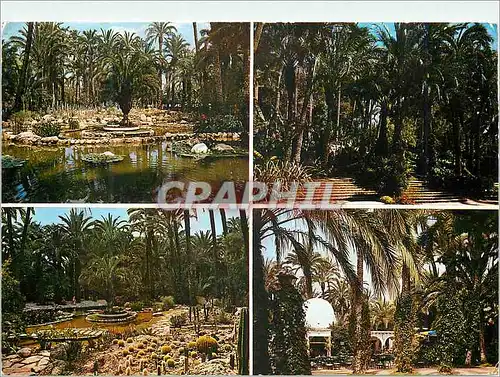 Cartes postales moderne Elche (Alicante) Parque Municipal