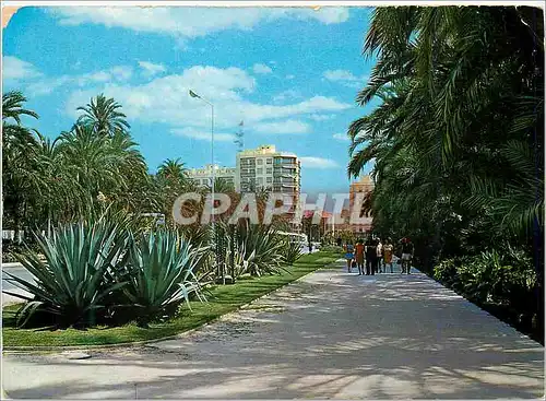 Cartes postales moderne Elche (Alicante) Vue Parc Municipal