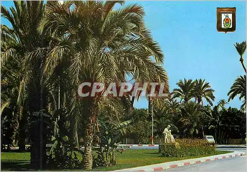 Cartes postales moderne Elche (Alicante) Promenade Alfonso XII