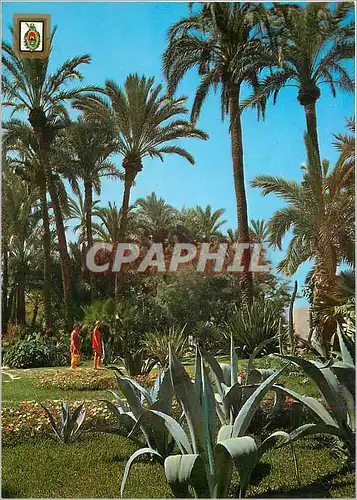 Cartes postales moderne Elche (Alicante) Parc Municipal