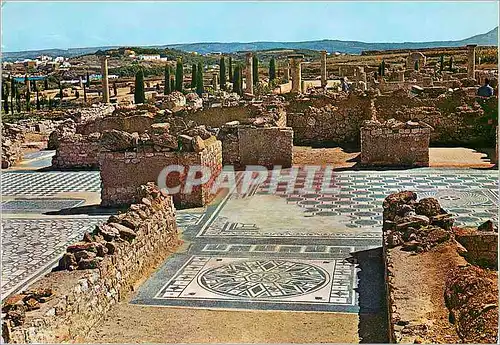 Cartes postales moderne Costa Brava Ruinas de Ampurias La Escala