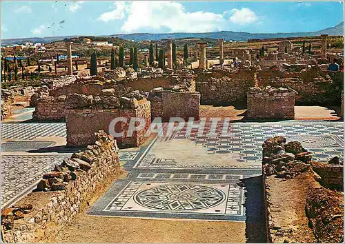 Cartes postales moderne Costa Brava Ruinas de Ampurias La Escala