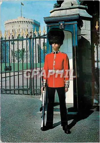 Cartes postales moderne Windsor Castle A Scots Guards Sentry at the Advanced Gate Militaria