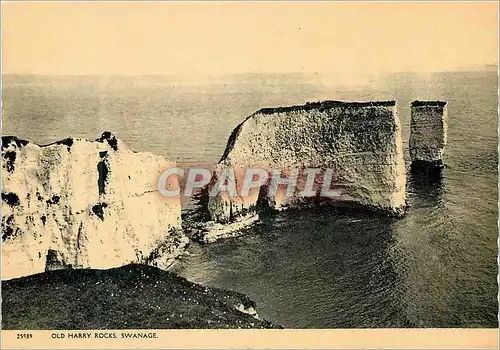 Cartes postales moderne Old Harry Rocks Swanage