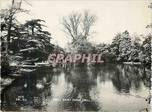 Cartes postales moderne Ewell Court Pond