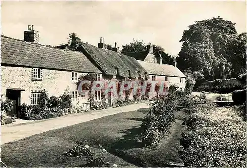 Cartes postales moderne Winkle Street Calbourne Isle of Wight