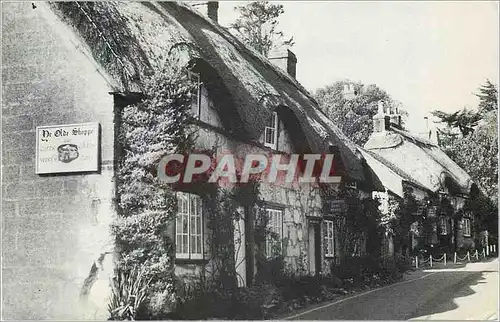 Cartes postales moderne Old Cottages Brighstone Isle of Wight