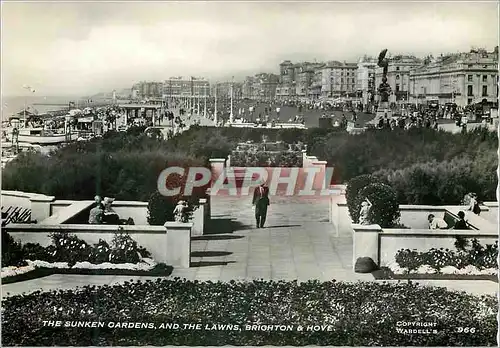 Cartes postales moderne The Sunken Gardens Ant The Lawns Brighton & Hove