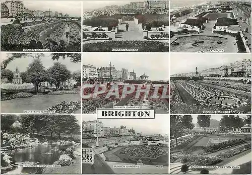 Cartes postales moderne Brighton