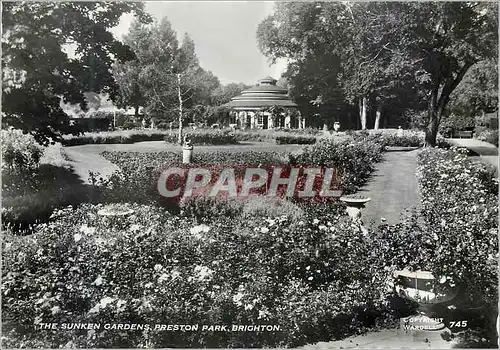 Cartes postales moderne The Sunken Gardens Preston Park Brighton