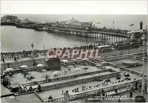 Cartes postales moderne The Palace Pier And Aquarium Terraces Brighton