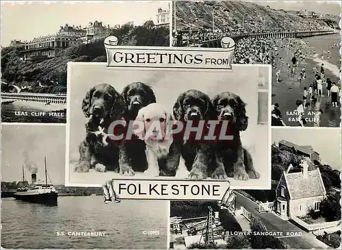 Moderne Karte Greetings form Folkestone Chiens Leas Cliff Hall SS Canterbury Bateau Sandgate Road