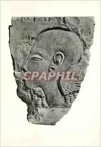 Cartes postales moderne British Museum Egyptian sunk-relief in timeston head of a young man in the style of Akhenaten Eg