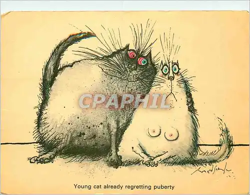 Cartes postales moderne Young cat already regretting puberty