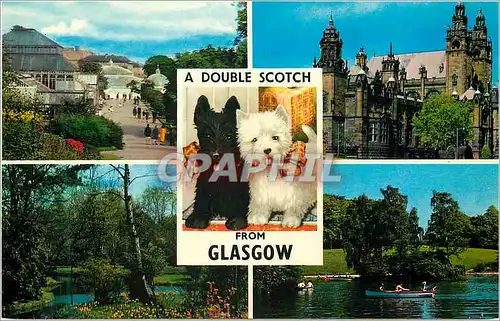 Cartes postales moderne A Double Scotch from Glasgow Chiens