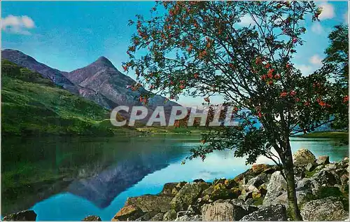 Cartes postales moderne Loch Leven Looking Towards The Pap of Glencoe