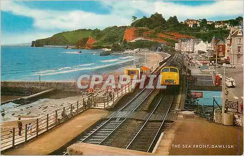 Cartes postales moderne The Sea Front Dawlish Train