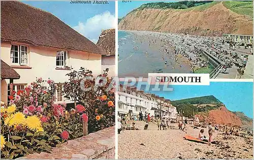 Cartes postales moderne Sidmouth