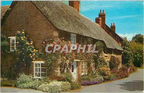 Cartes postales moderne Burton Stock Dorset