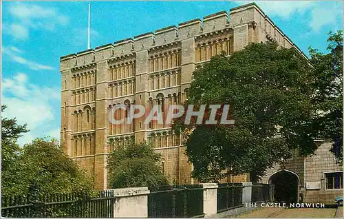 Cartes postales moderne The Castle Norwich
