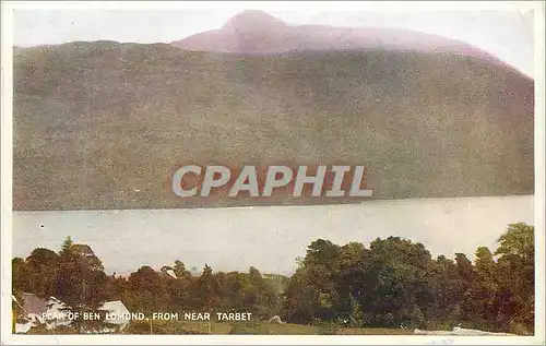 Cartes postales moderne Bear of ben Lomond From Near Tarbet