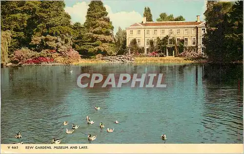 Moderne Karte Kew Gardens Museum and Lake