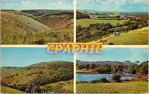 Cartes postales moderne Sussex Downs