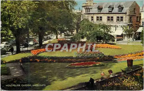 Moderne Karte Montpelier Gardens Harrogate