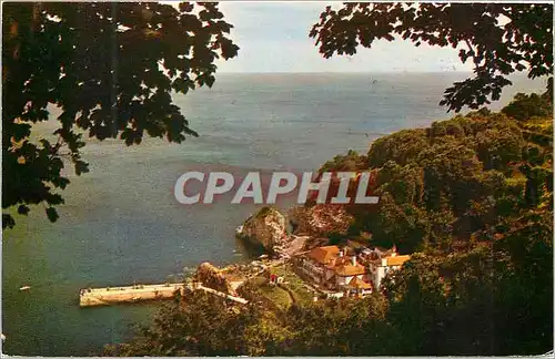 Cartes postales moderne Babbacombe Bay