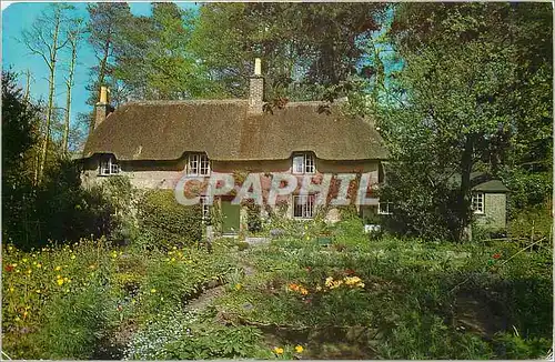 Cartes postales moderne Thomas Hardy's Birthplace Higher Bockhampton