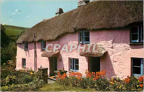 Cartes postales moderne Devon Thatch