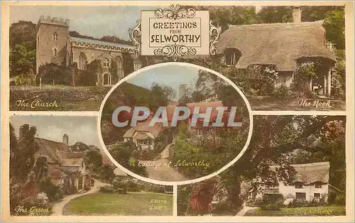 Cartes postales moderne Selworthy
