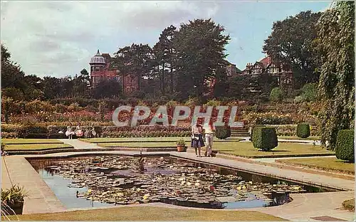 Cartes postales moderne Kingsnorth Gardens Folkestone