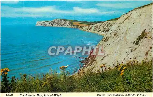 Cartes postales moderne Freshwater Bay Isle of Wight
