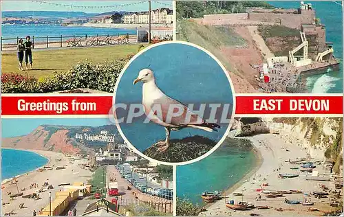 Moderne Karte Greetings from East Devon