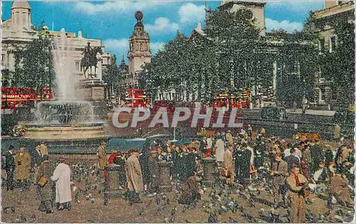 Cartes postales moderne Feeding the Pigeons Trafalgar Square London