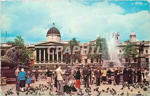 Cartes postales moderne Trafalgar Square and National Gallery London