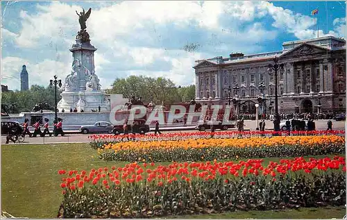 Cartes postales moderne Buckingham Palace London