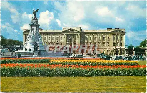 Cartes postales moderne Buckingham Palace London The London residence of the reigning Monarch