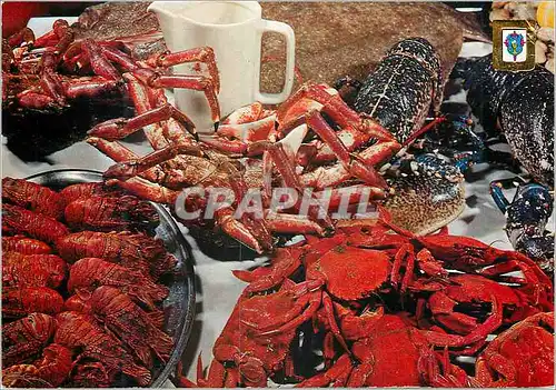 Cartes postales moderne Galicia Mariscos