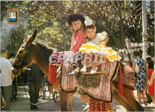 Cartes postales moderne Costa del Sol Couple typique Enfants Ane Donkey