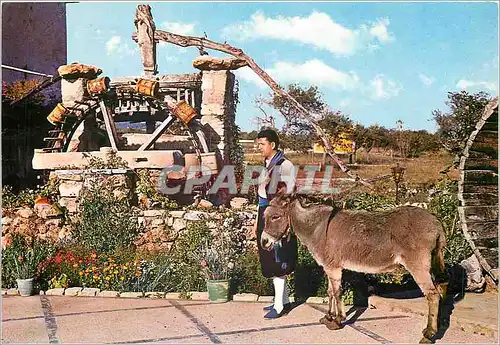 Cartes postales moderne Mallorca Noria tipica Noria typiques Ane Donkey