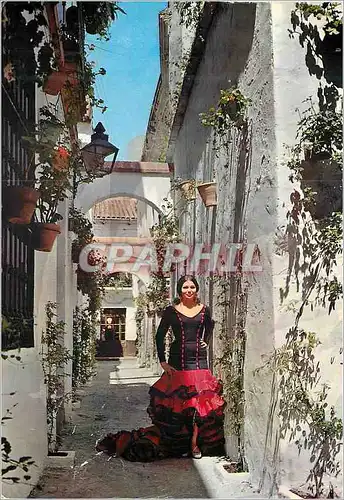 Cartes postales moderne Espana Tipica Rue Andalouse typique