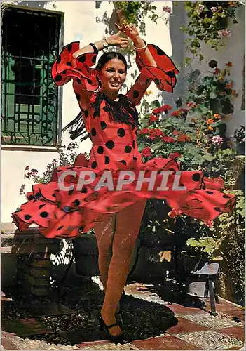 Cartes postales moderne Espana Tipica Image typique