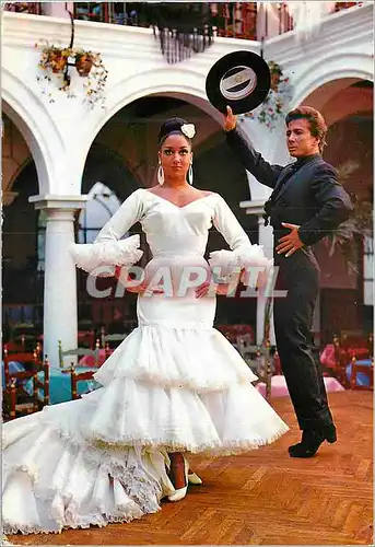 Cartes postales moderne El Relicario Sara y Pedro Los Luceros