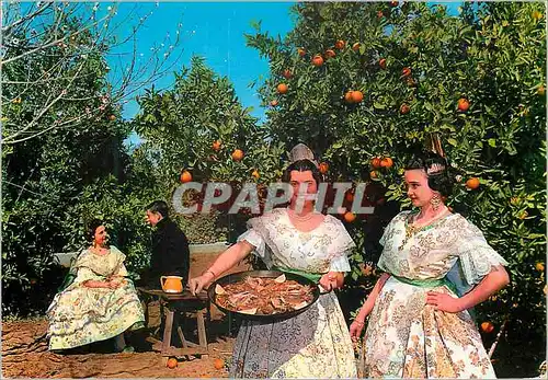 Cartes postales moderne Valencia Having paella at an orange orchard